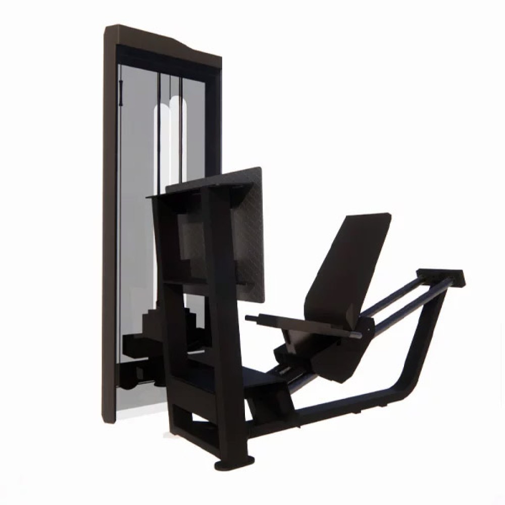 Leg Press