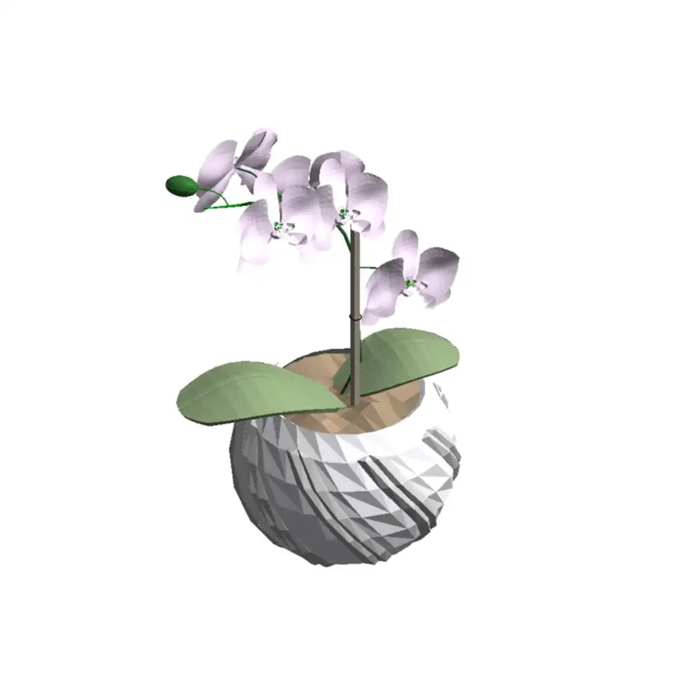 Orquídea plantada vaso