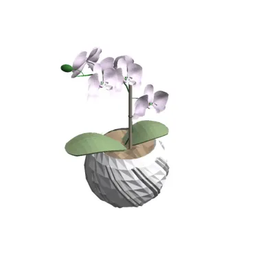 Orquídea plantada vaso