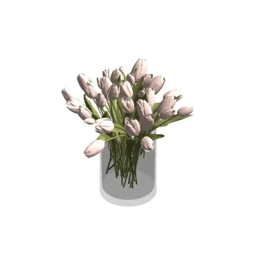 Vaso com Tulipas