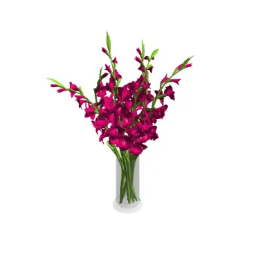 Vaso com palmas rosa