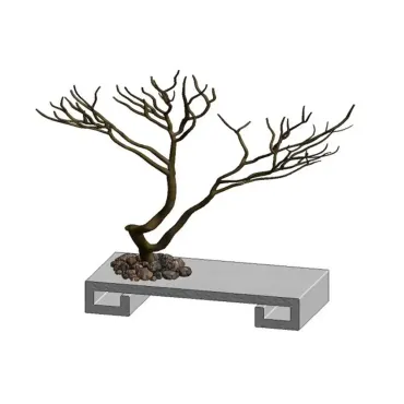 Bonsai Jardim Zen