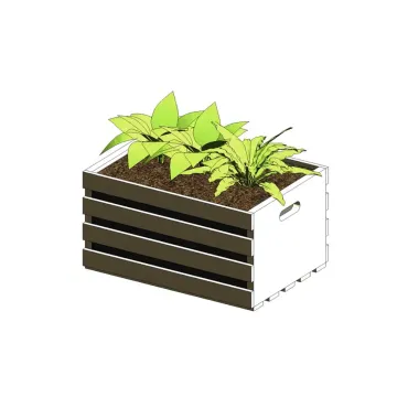 Caixote com planta