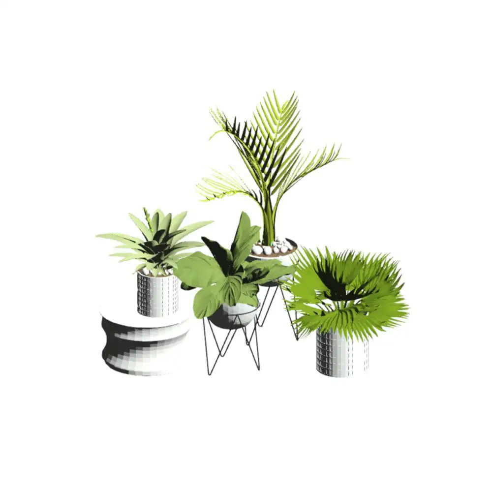 Conjunto de Vasos