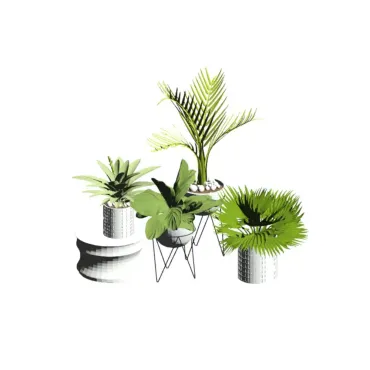 Conjunto de Vasos