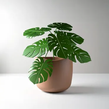 Costela de adão em vaso bojudo