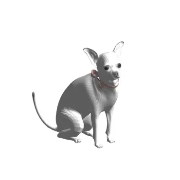 Cachorrinho