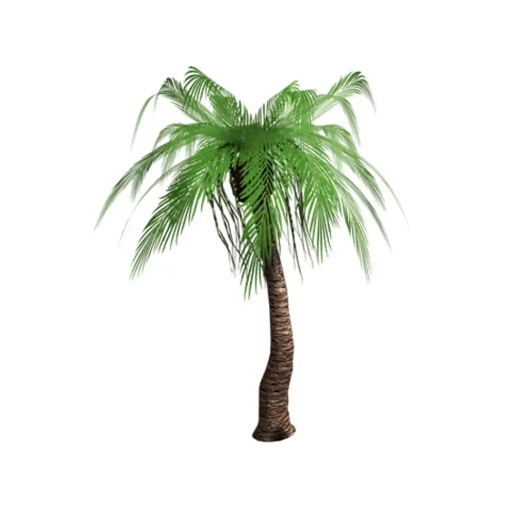 Palmeira tropical