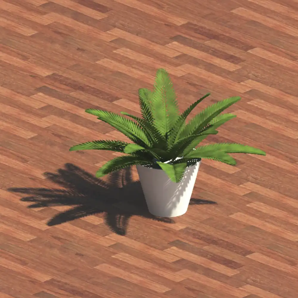 Samambaia em vaso