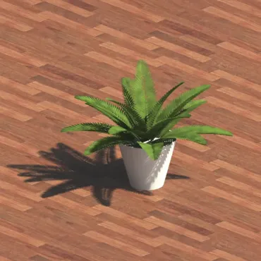 Samambaia em vaso