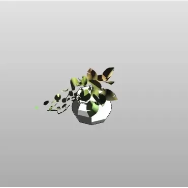 Vaso com planta Jiboia