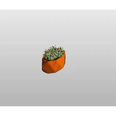 Suculenta em vaso
