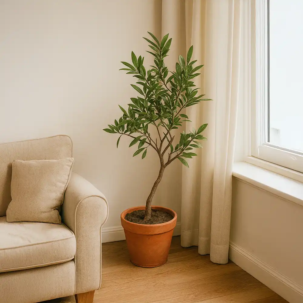 Árvore pequena no vaso Árvore pequena no vaso