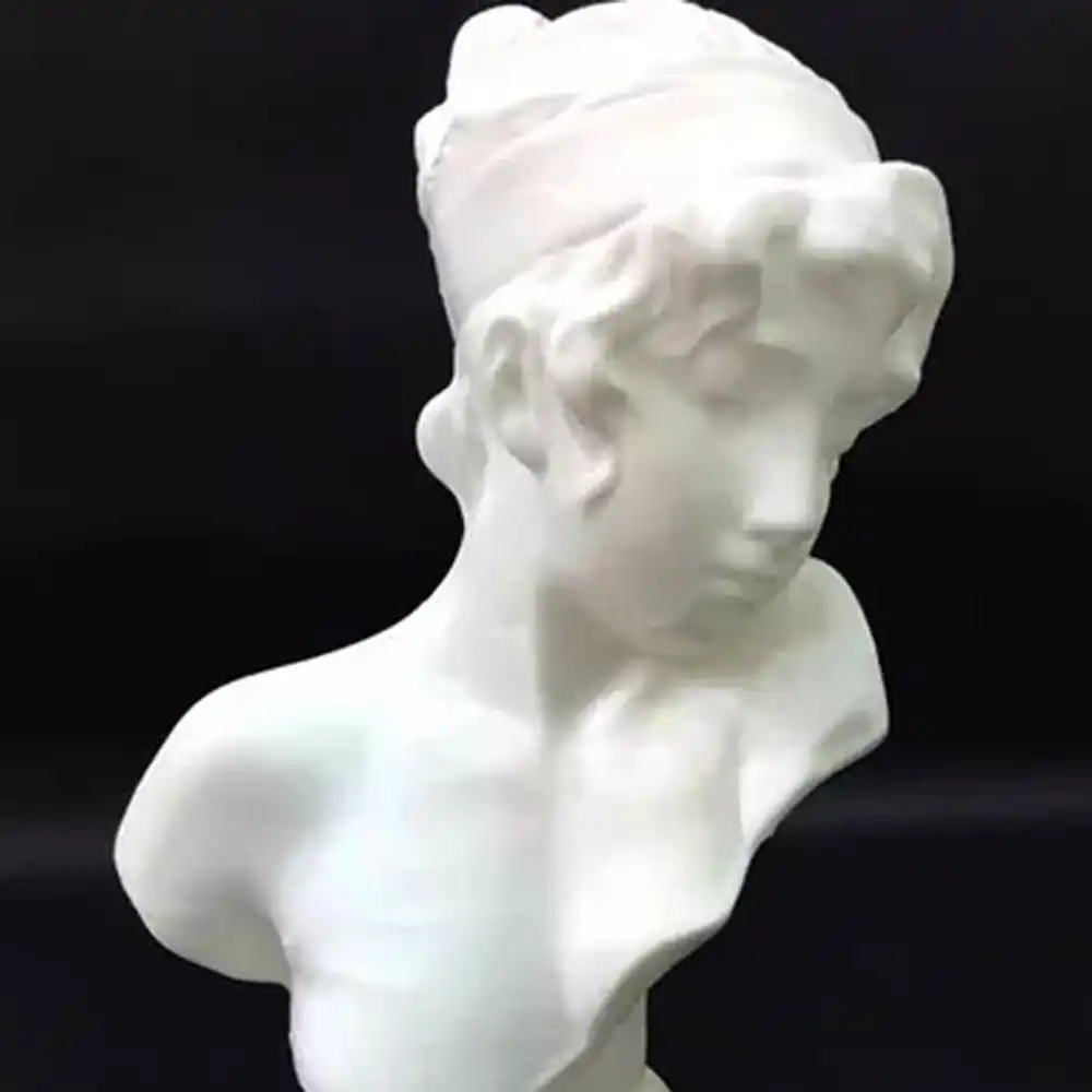 Busto Feminino