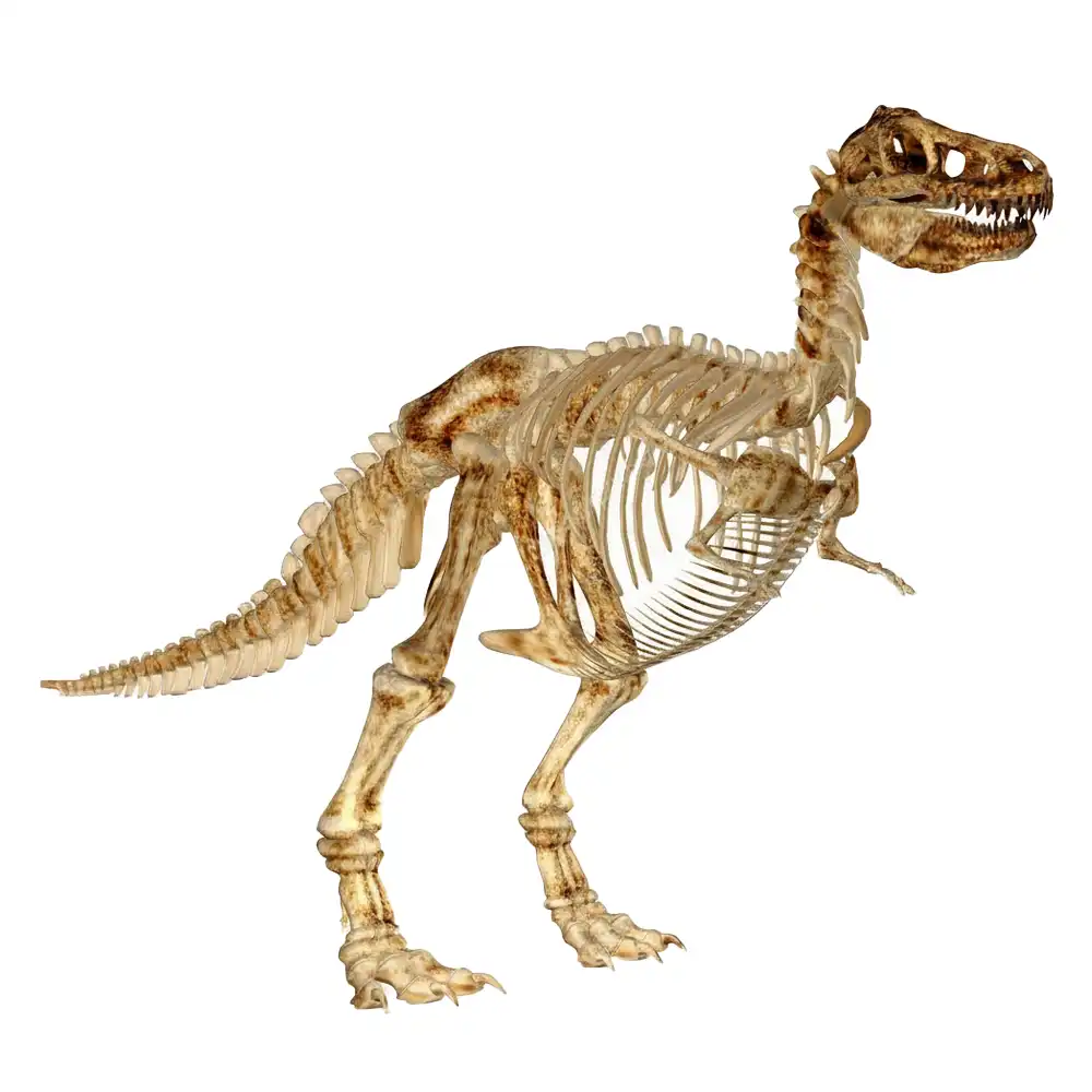 Esqueleto T-Rex