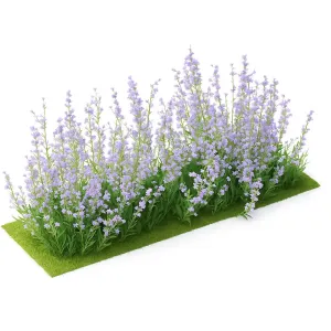 Lavanda