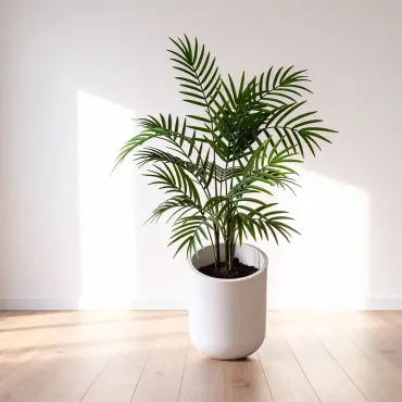 Palmeira no vaso branco
