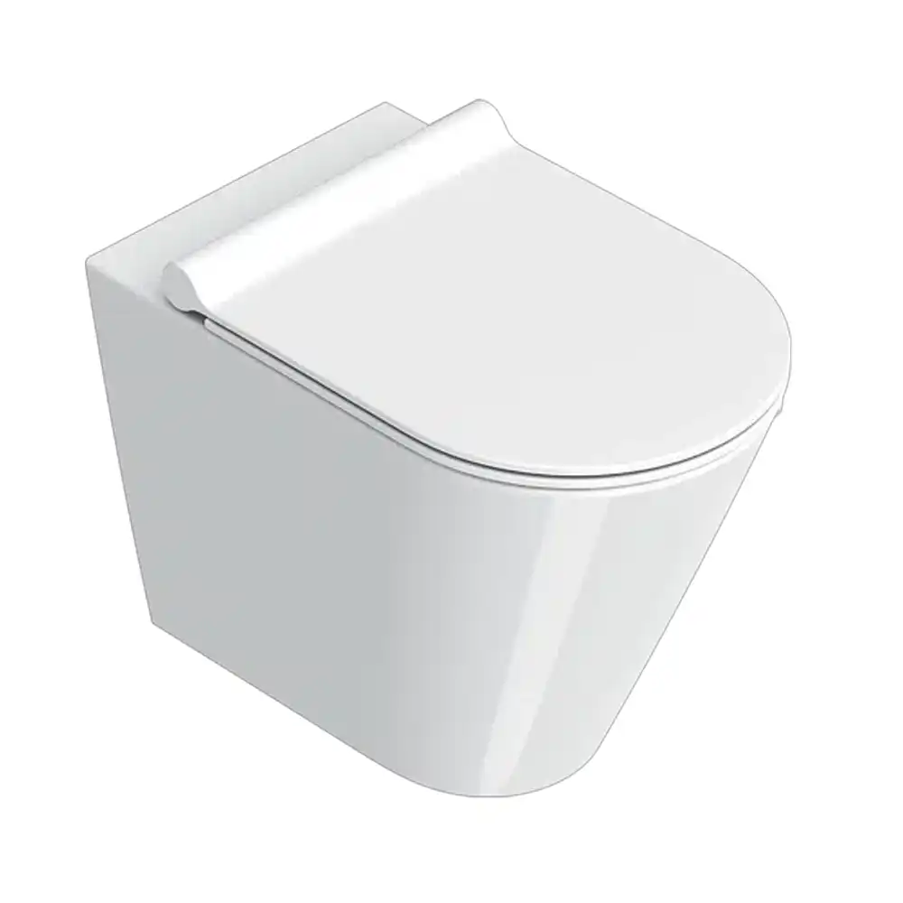 Vaso sanitário translato