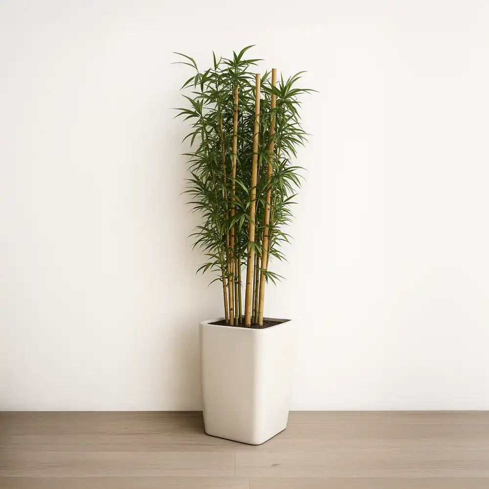 Vaso pequeno Bambu