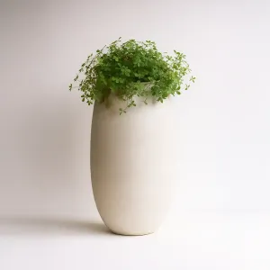 Vaso com Trevos