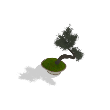 Bonsai em vaso
