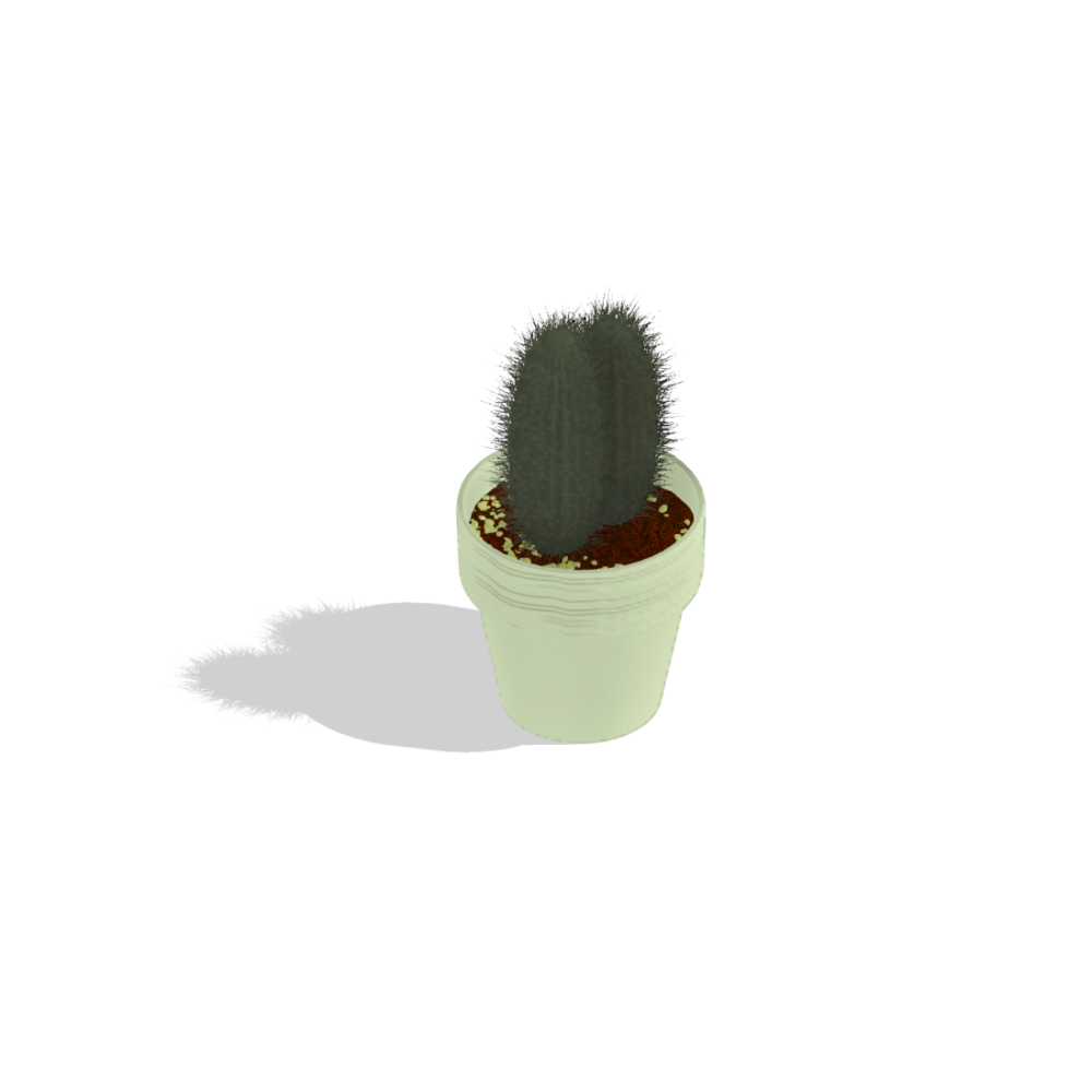 Cacto em Vaso