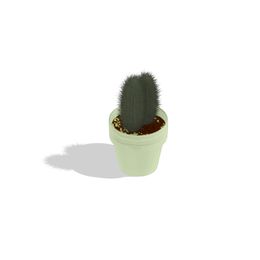 Cacto em Vaso